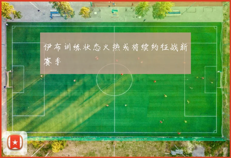 伊布训练状态火热或将续约征战新赛季