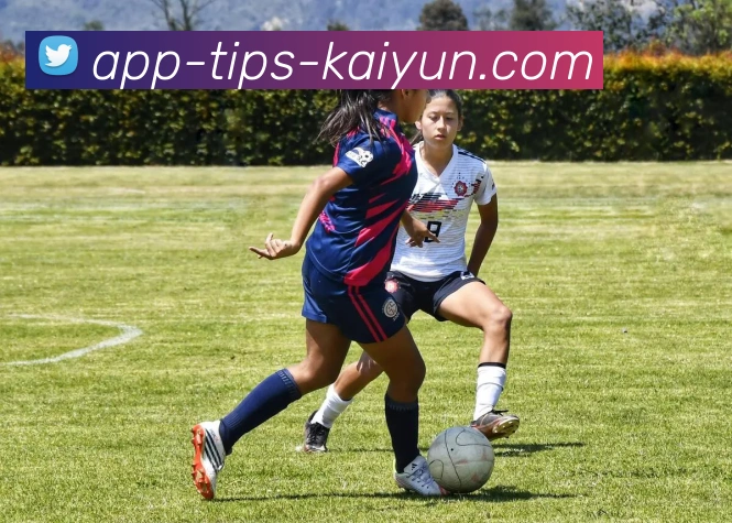 开云APPAPP 封面图